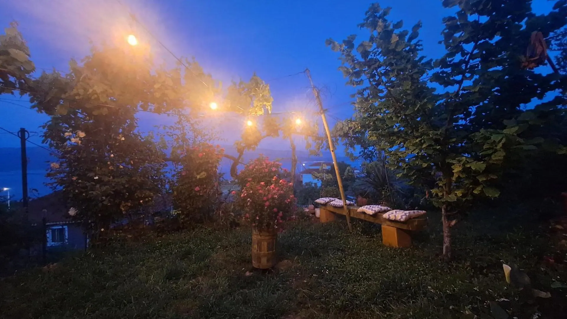 Taku Villa Wonderful View Of Lake Ohrid Udenisht Αλβανία
