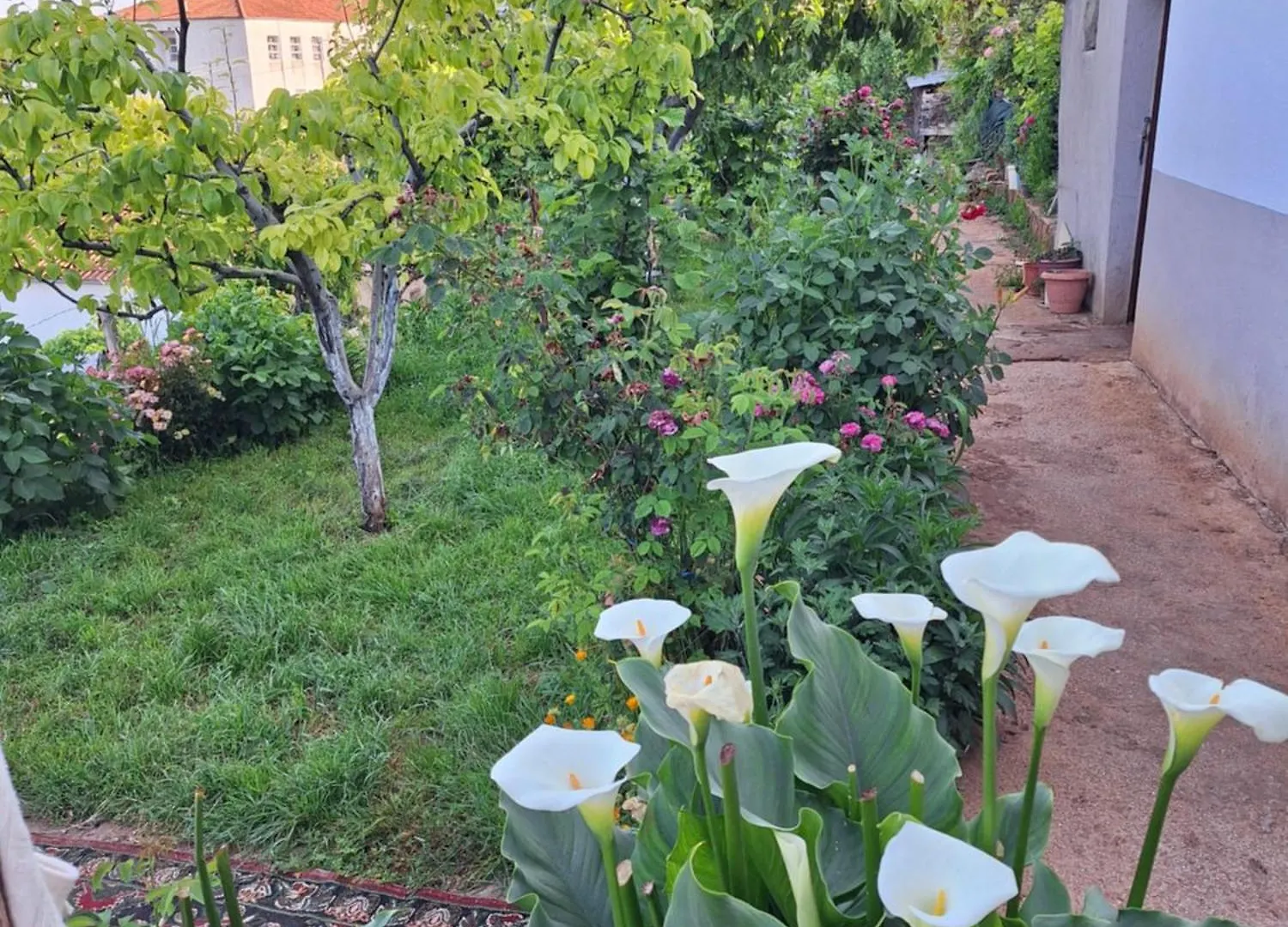 Taku Villa Wonderful View Of Lake Ohrid Udenisht Албания
