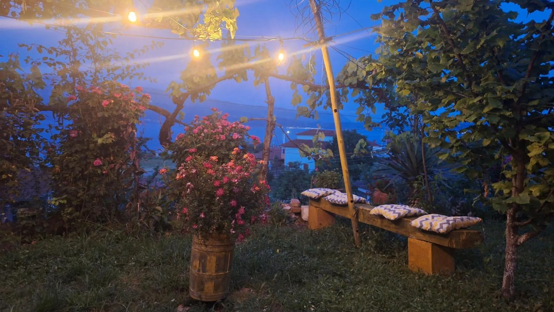 Taku Villa Wonderful View Of Lake Ohrid Udenisht 0*,